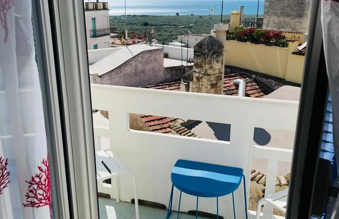 Casa Junno-1
